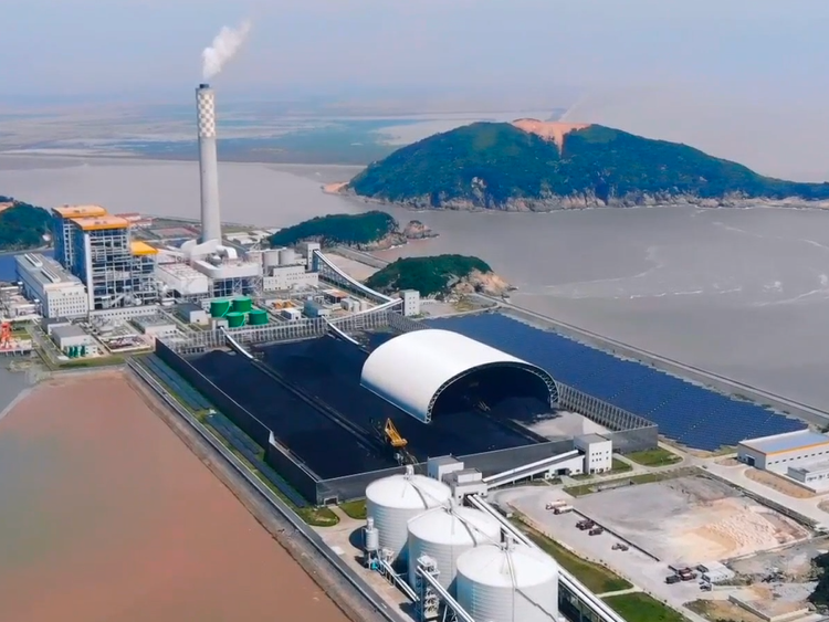 造紙工廠用煤供應 紙漿廠煤炭